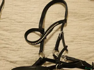 Träns hästutrustning till salu: Hackampre F.R.A i Karlskrona - Annons 4