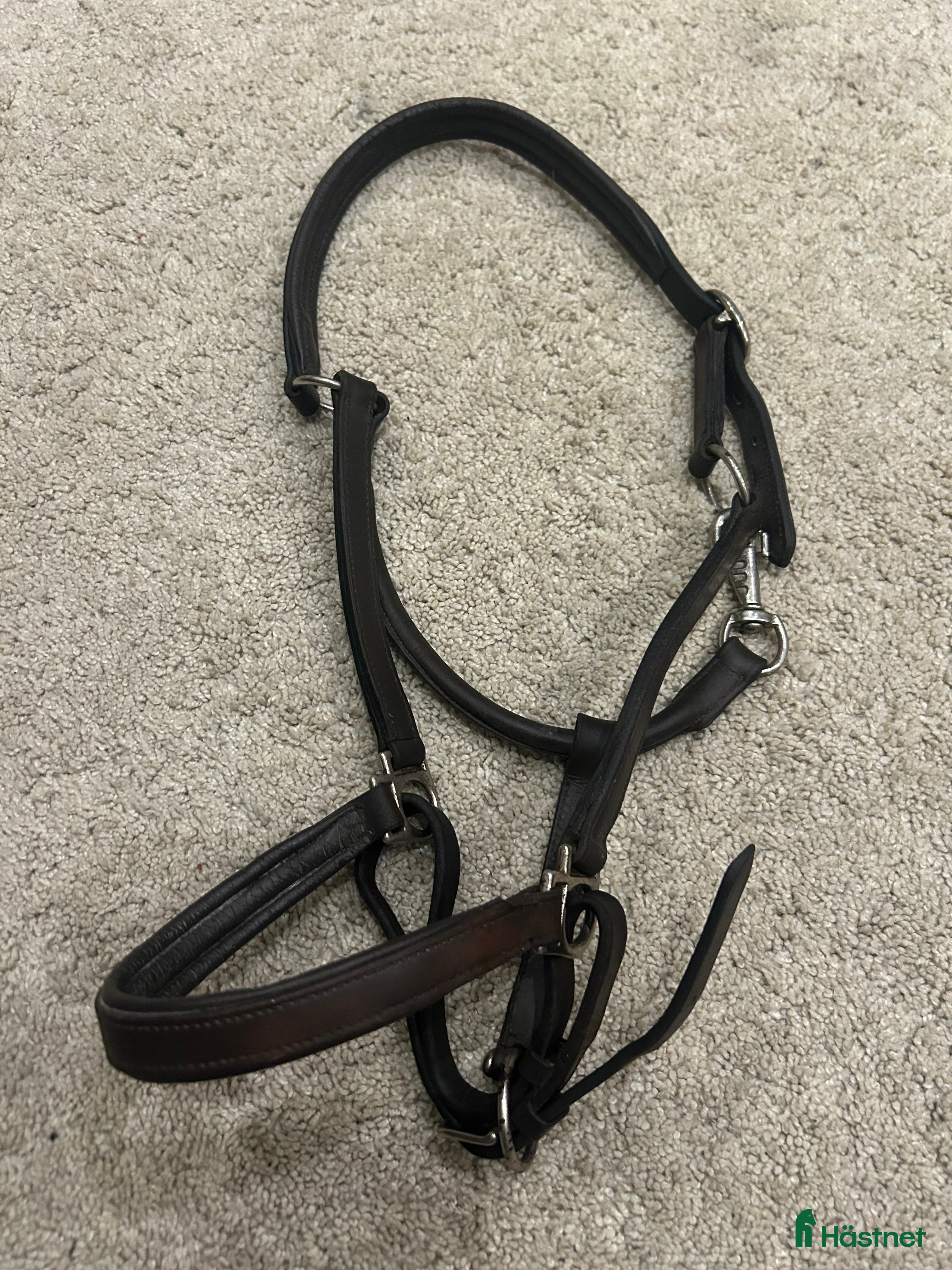 Övrig Hästutrustning hästutrustning Lädergrimma strl cob i Enhörna - Annons 5
