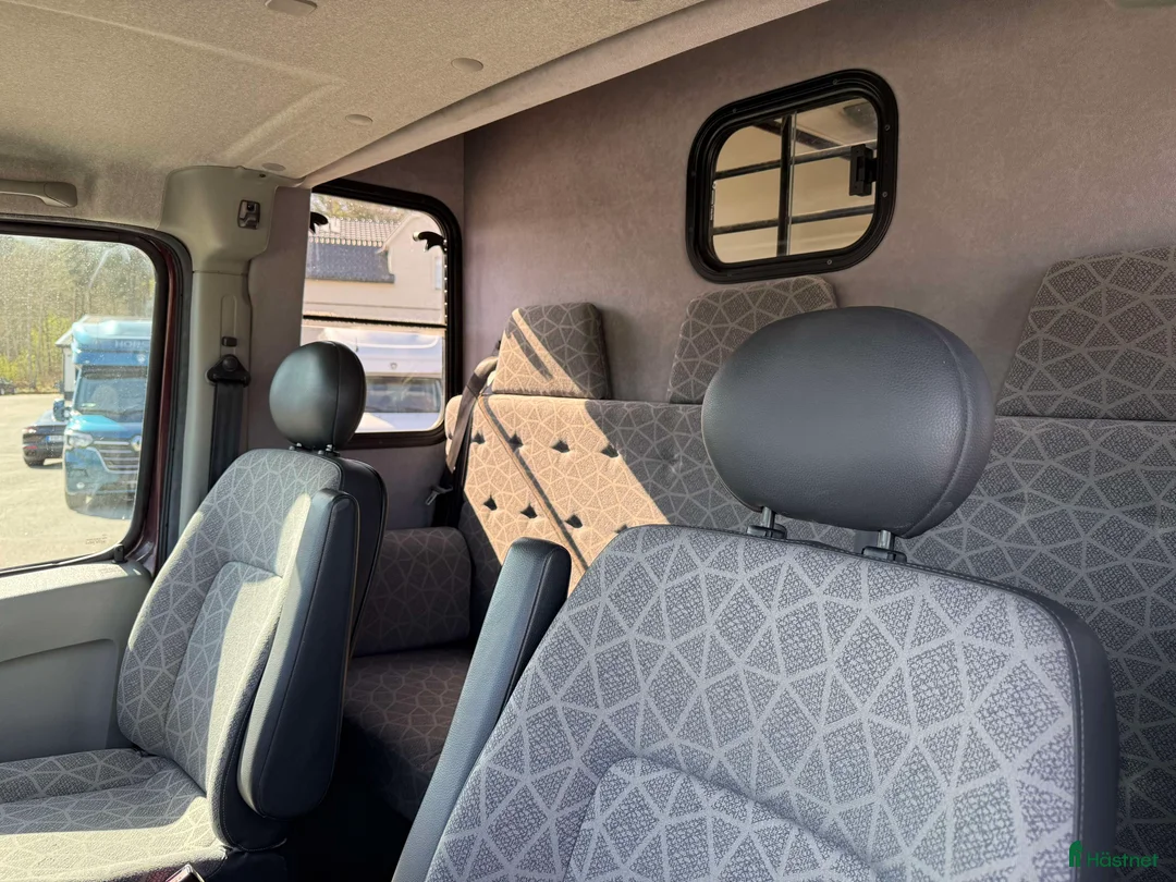 Hästtransporter  fordon & transport till salu: PARAGAN EXCELSION 5 SÄTEN  i Köping - Annons 6