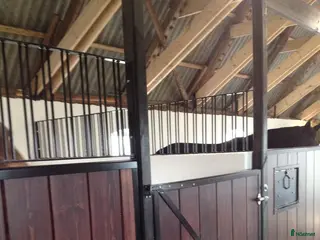 stallplats Boxplats vid Tågarps rf i Annelöv i Annelöv - Annons 8