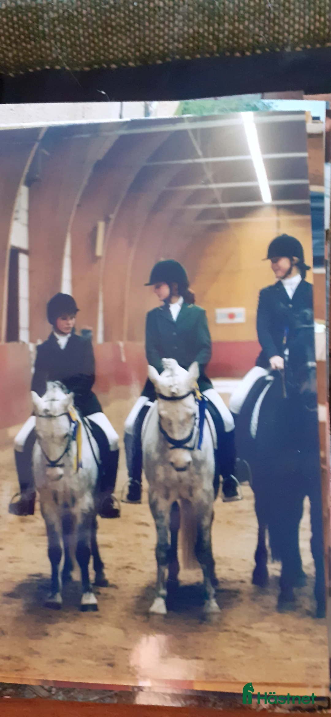  hästservice finnes: Utbilning/Försäljning med gedigen grundutbildning - Annons 5