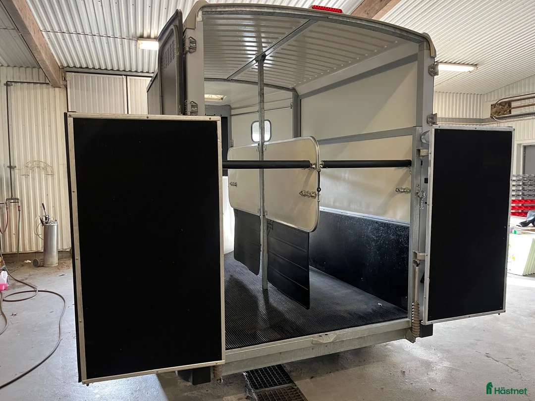 Hästtransporter  fordon & transport till salu: Ifor willams 511 i Sölvesborg - Annons 9