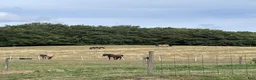  stallplats finnes: 3 BOXPLATSER LEDIGA FRÅN 1/10 i Svedala - Annons 1