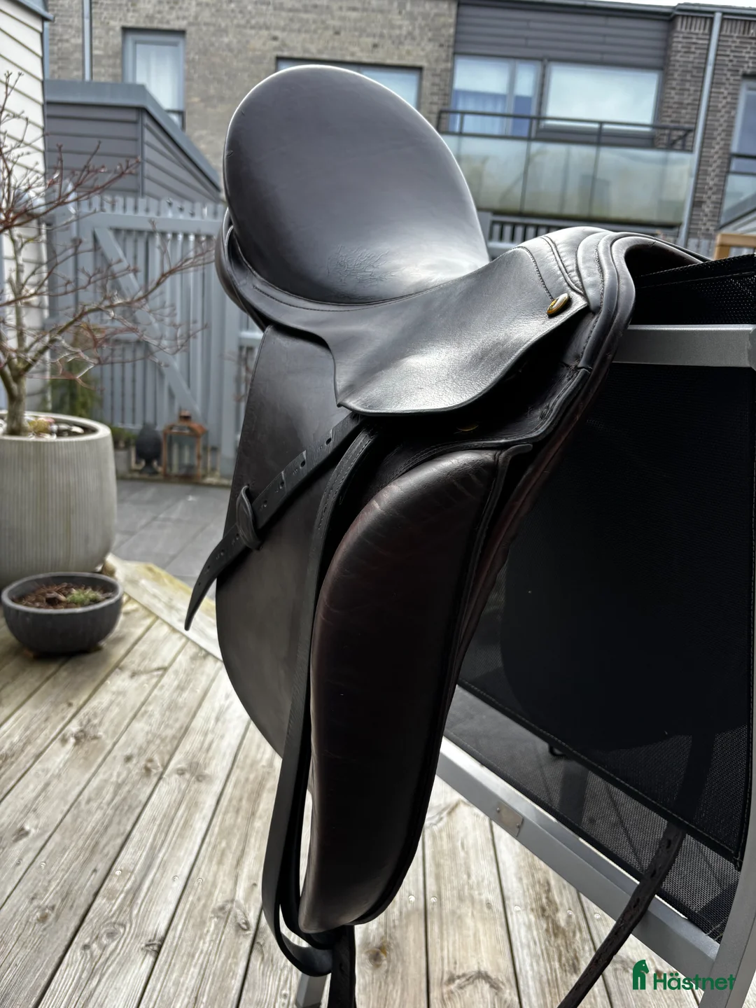 Sadlar hästutrustning till salu: Henri de Rivel dressyrsadel 17' - Annons 2
