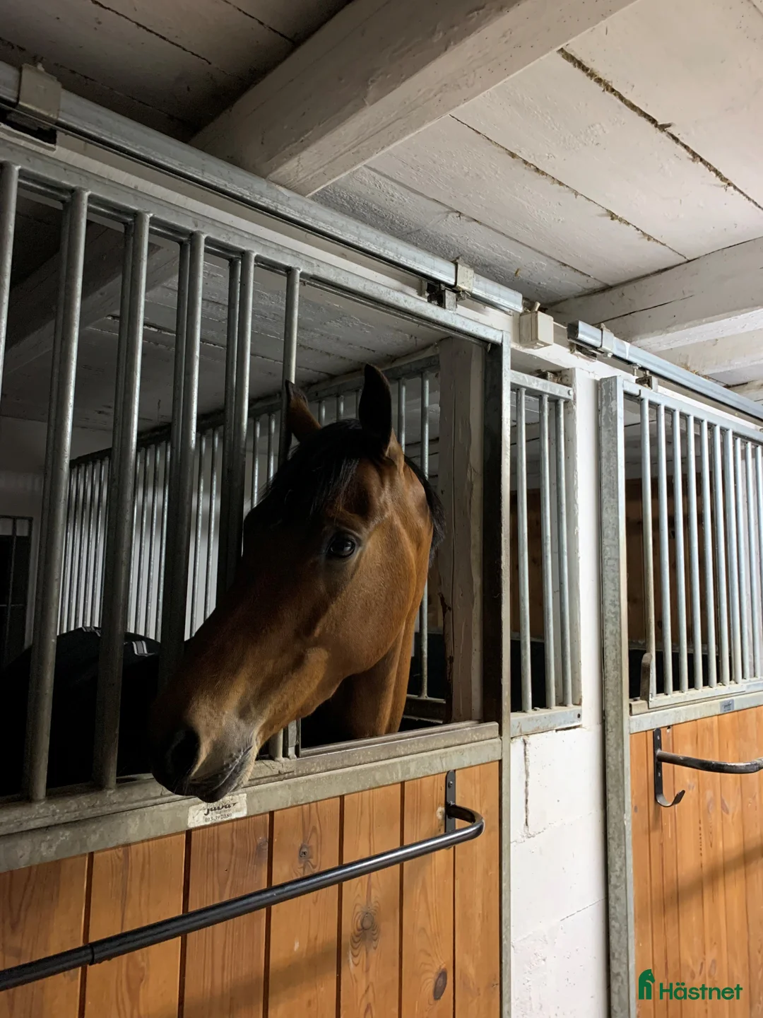  stallplats finnes: Stall plats Vejbystrand i Vejbystrand - Annons 1