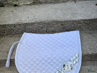 Schabrak & Vojlockar hästutrustning till salu: Vitt dressyr schabrak i Landvetter - Annons 3