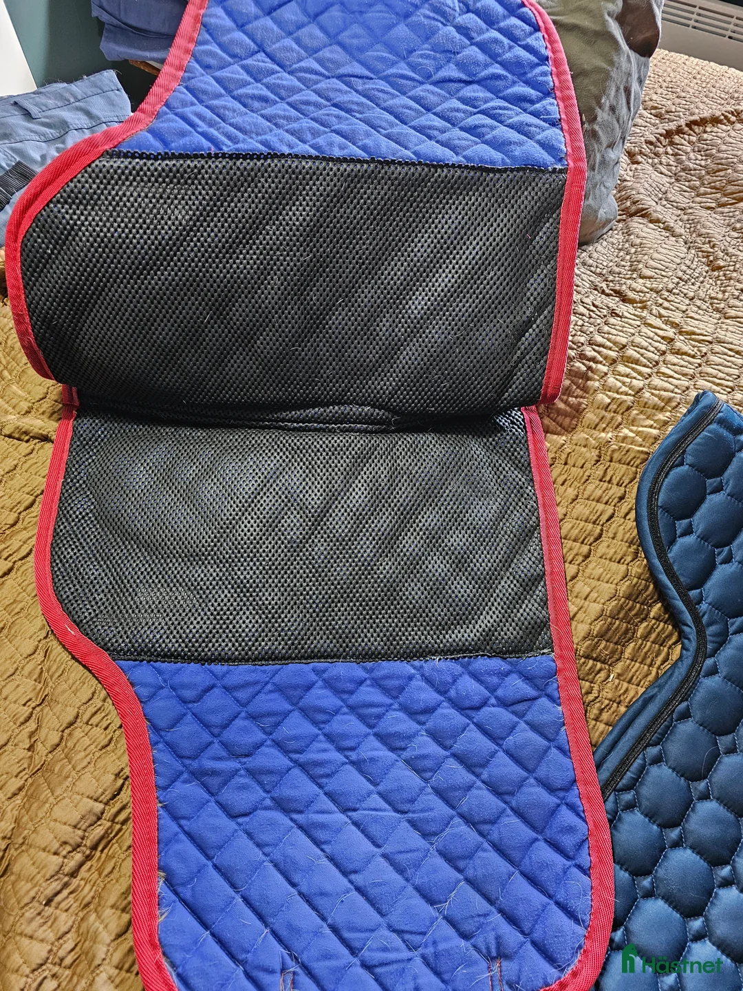 Schabrak & Vojlockar hästutrustning till salu: Catago vojlock i Söråker - Annons 10