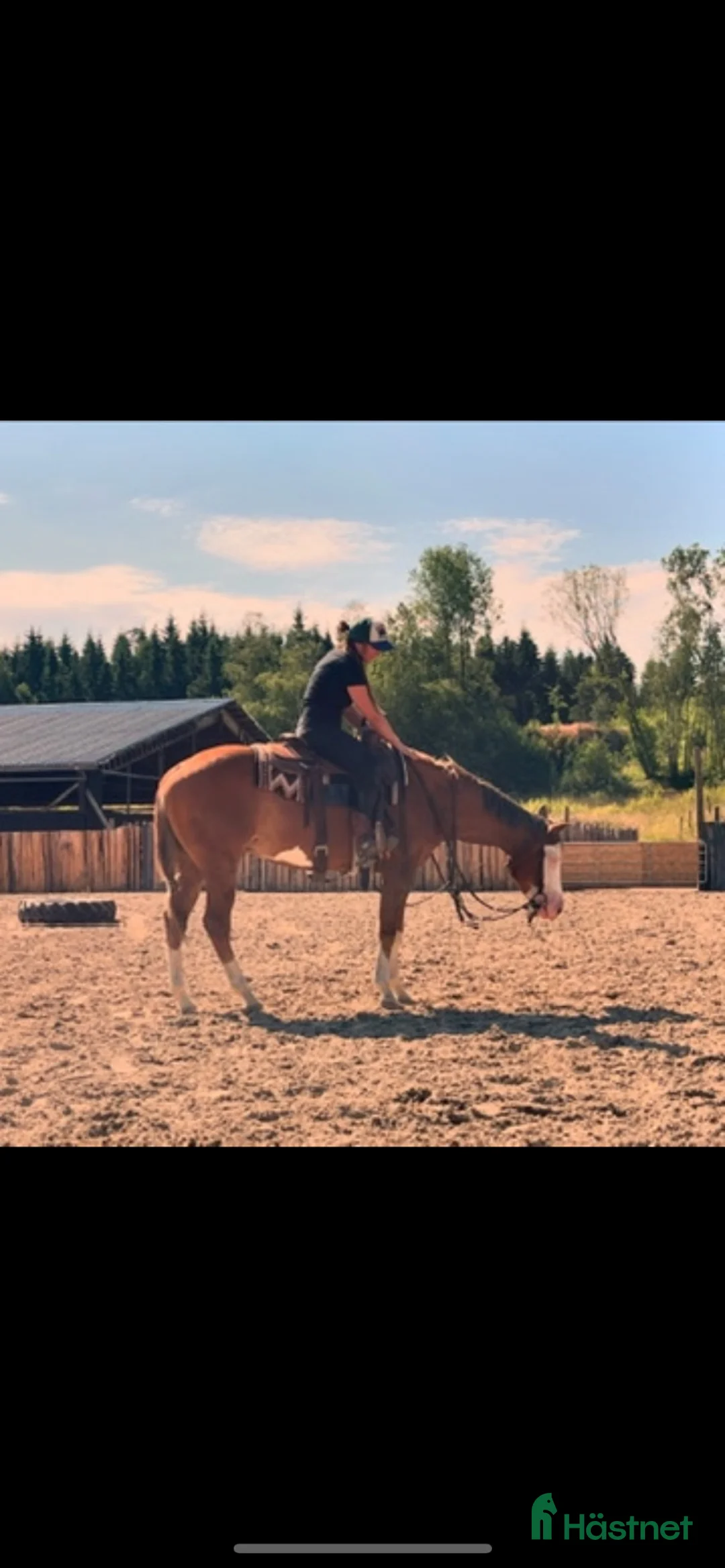 Western hästar till salu: Talangfull kille!  i Lilla Edet - Annons 1