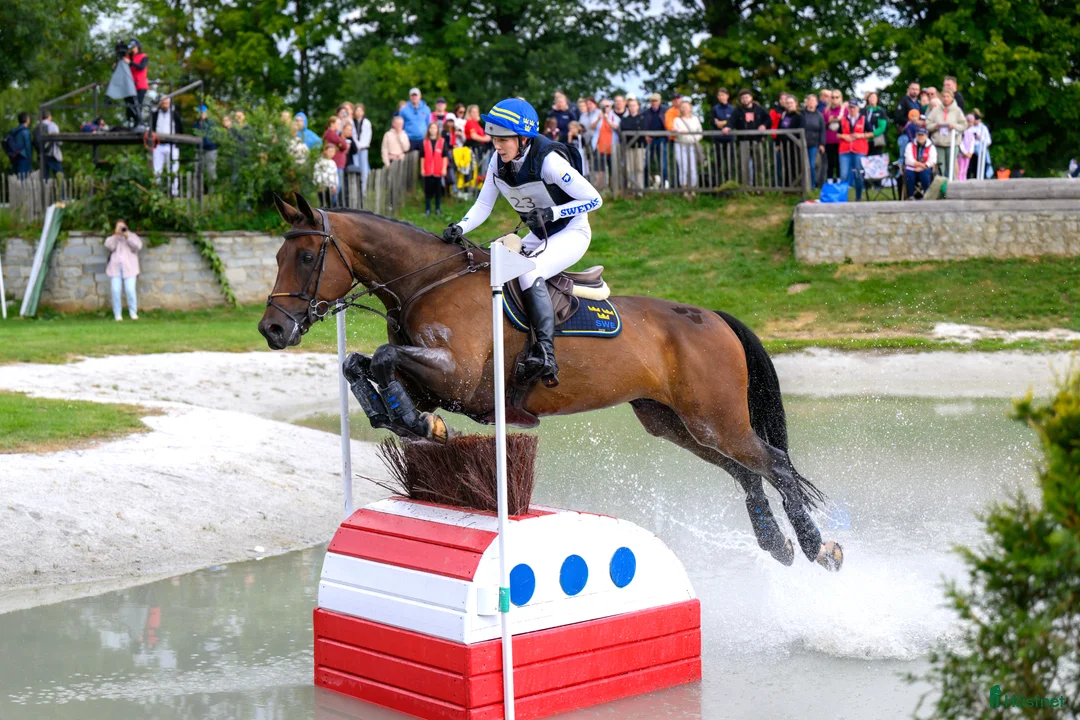  hästservice finnes: Förmedling, utbildning, träning, tävling i Skultuna - Annons 2