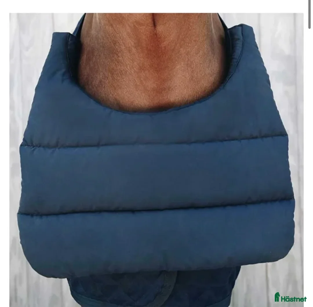 Täcken hästutrustning till salu: Täcken mm - Annons 2