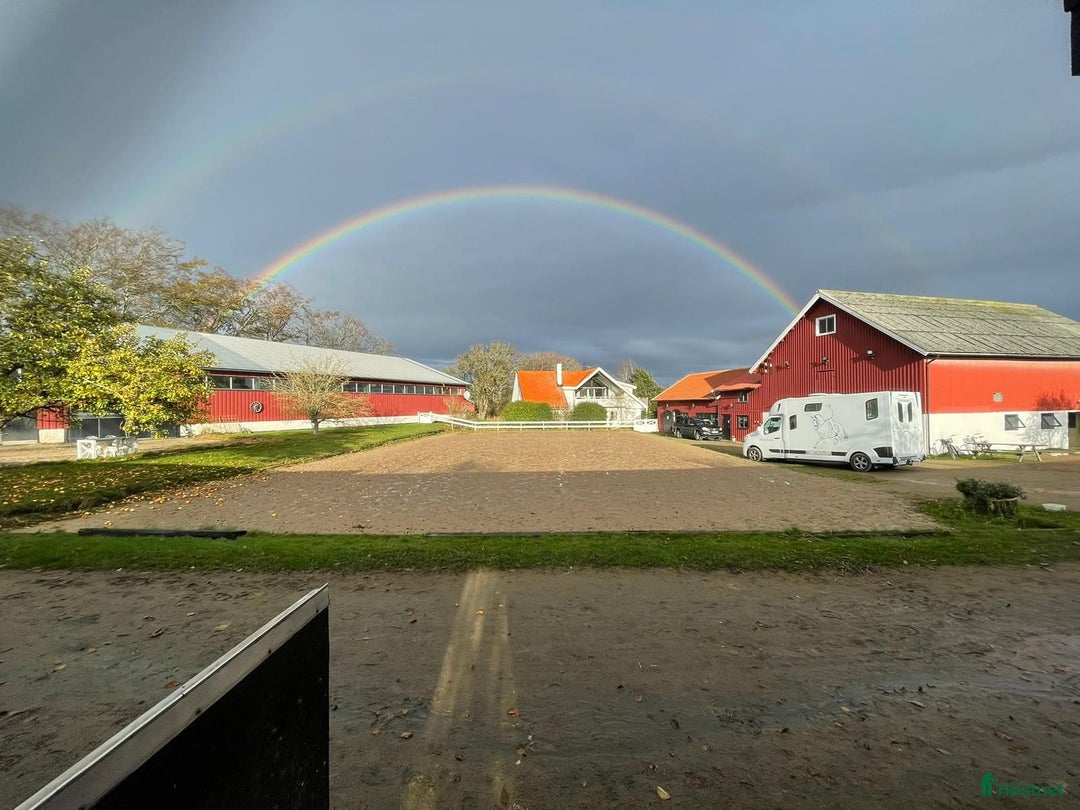  stallplats finnes: Stor anläggning med fina ridvägar i Onsala - Annons 1