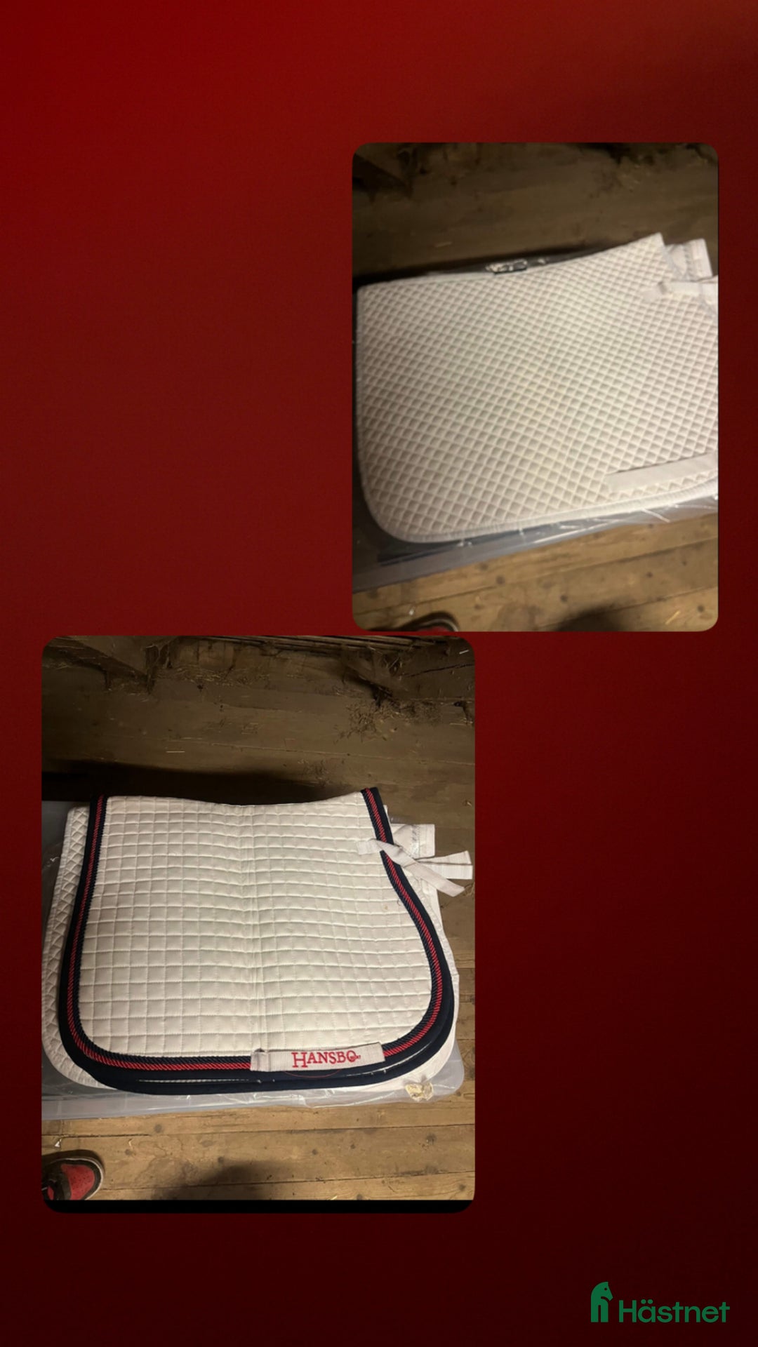 Schabrak & Vojlockar hästutrustning till salu: Säljer häst och ryttare utrusning  i Ödåkra - Annons 8