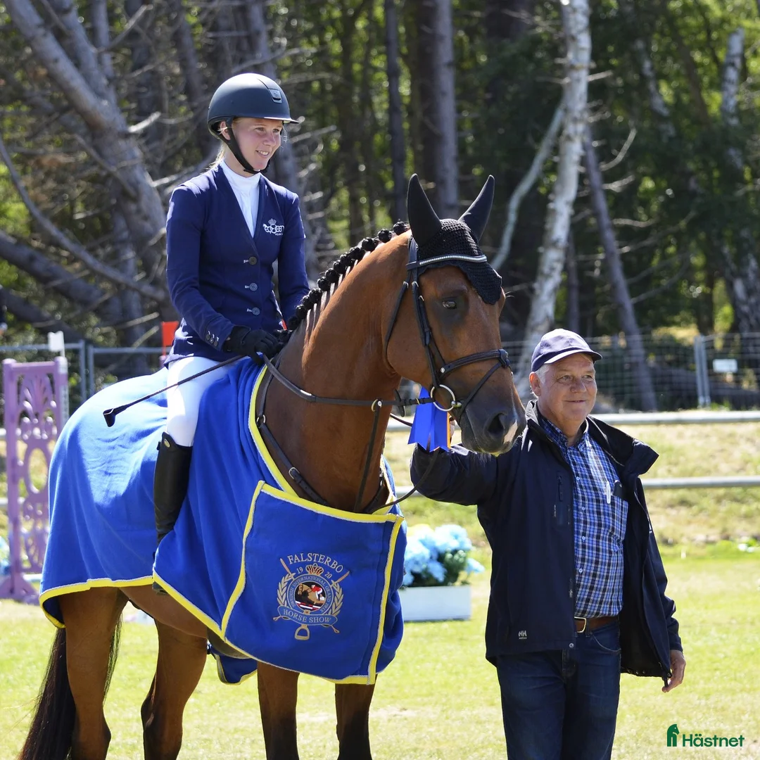 Galleribild {{count}}