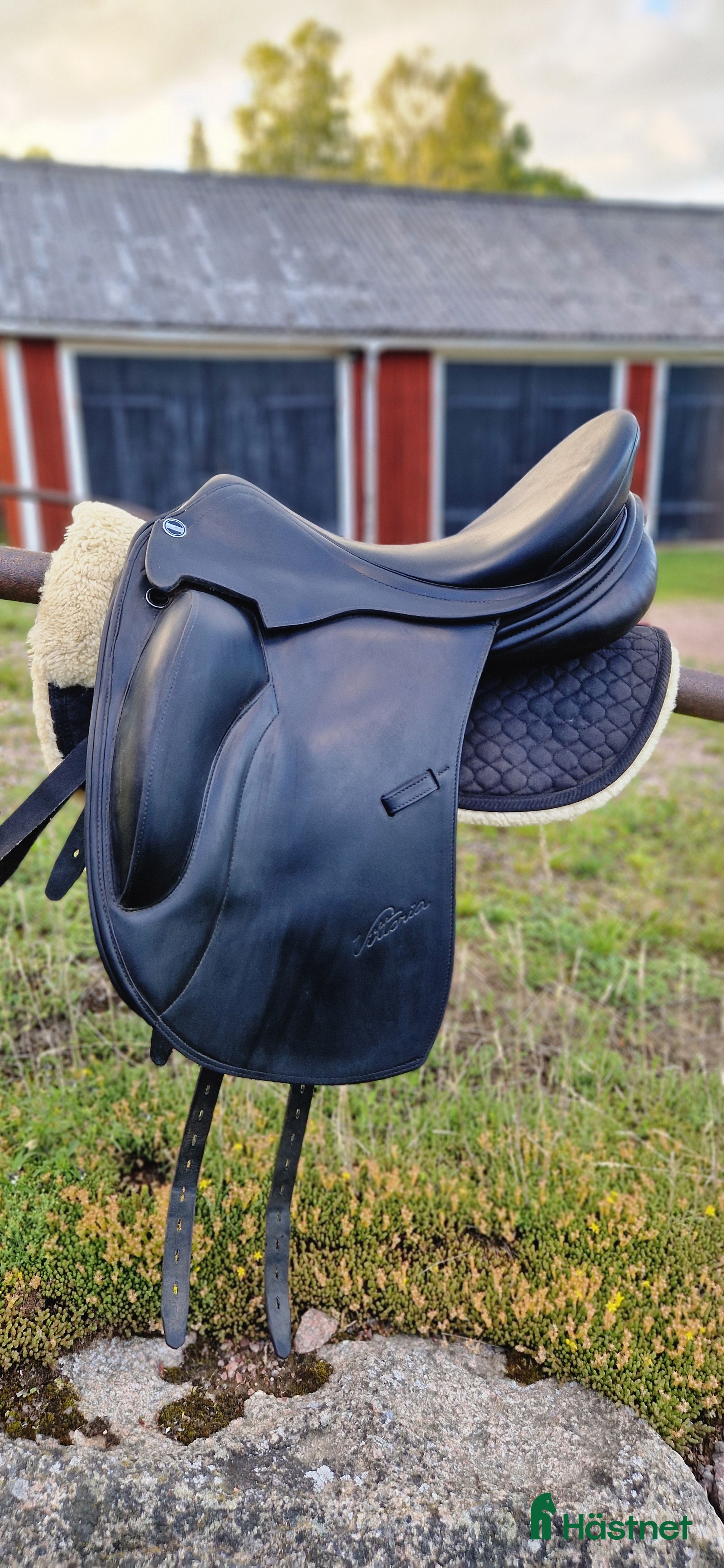 Sadlar hästutrustning till salu: BVSA Erreplus Vittoria i Tranås - Annons 24