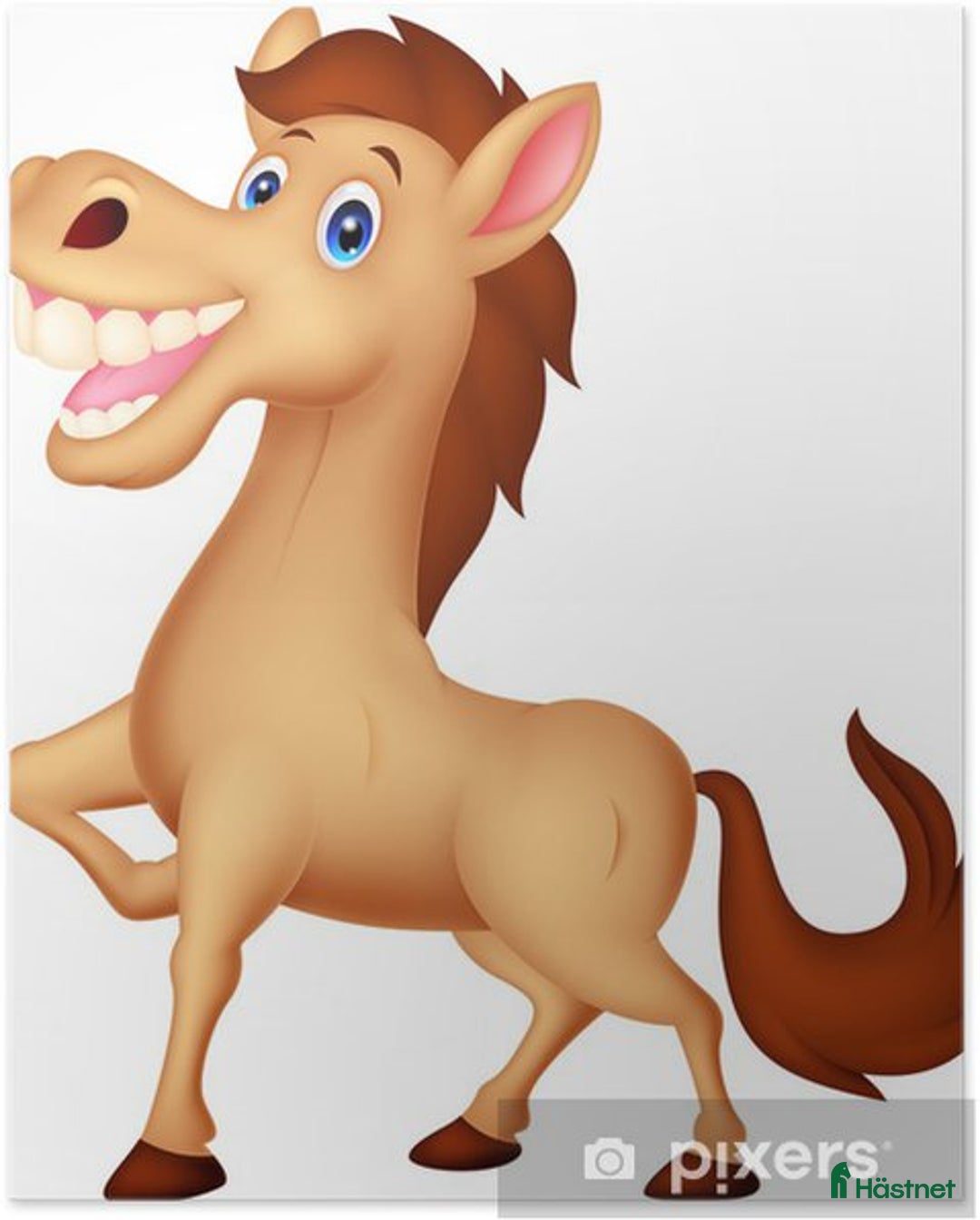  stallplats finnes: Lösdriftsplats Nyköping  i Nyköping - Annons 1