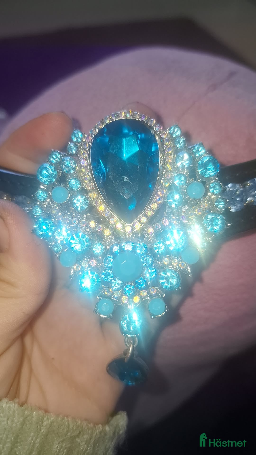 Träns hästutrustning till salu: 🌟panband till salu🌟 i Nora - Annons 5