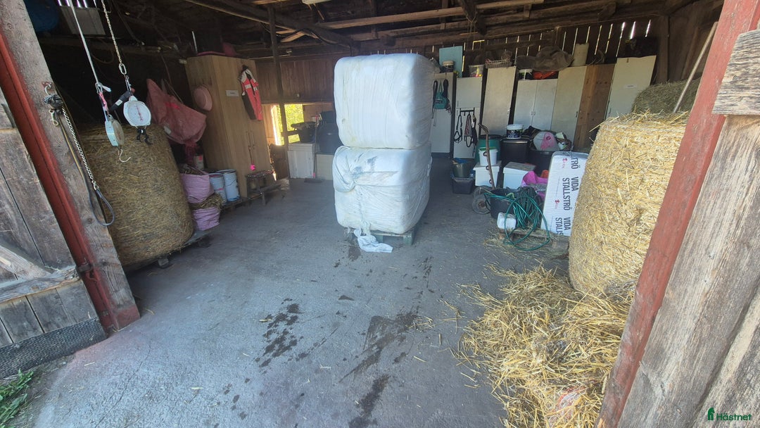  stallplats finnes: Boxplats i litet kollektiv i Vårsta  i Grödinge - Annons 14