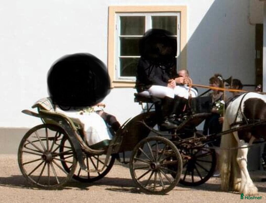 Körvagnar körning till salu: Fin äldre promenadvagn / Viktoriavagn i Vallentuna - Annons 2