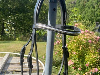 Träns hästutrustning till salu: Svart träns i toppenskick i Johanneshov - Annons 8