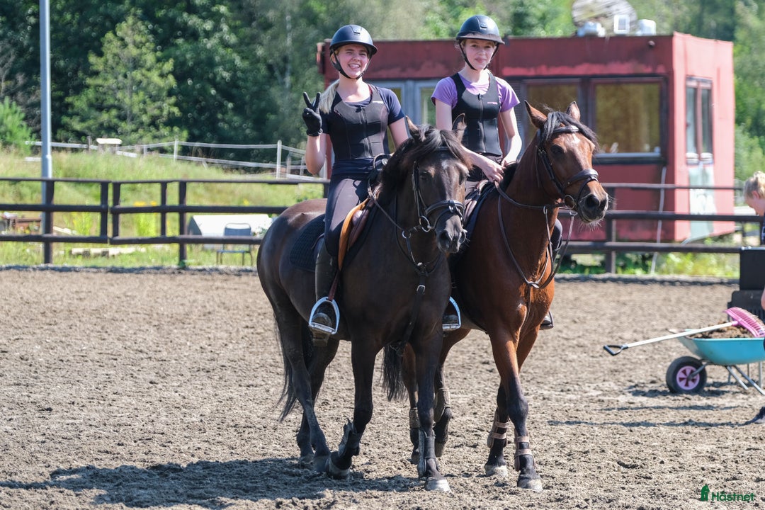  hästjobb finnes: Jobb på en av Norges største rideskoler🐎🇳🇴 - Annons 10