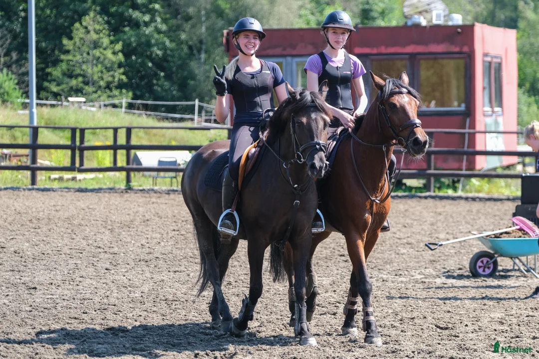  hästjobb finnes: Jobb på en av Norges største rideskoler🐎🇳🇴 - Annons 10
