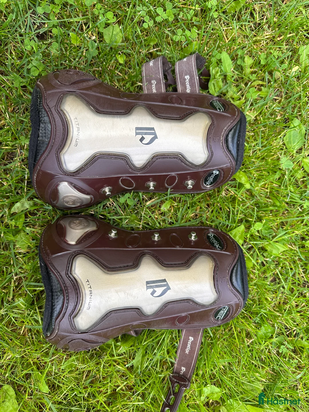 Benskydd hästutrustning till salu: Senskydd Pretsige i Borlänge - Annons 2