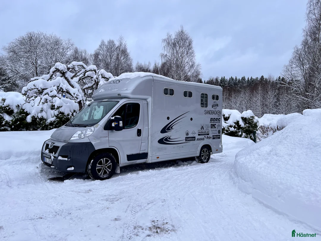 Hästlastbilar  fordon & transport till salu: Peugeot Boxer Equitrek B-kortslastbil - Annons 2
