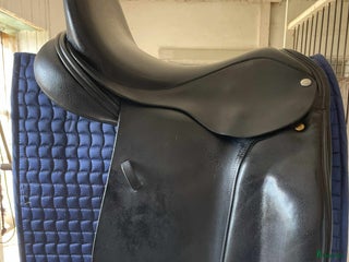 Sadlar hästutrustning till salu: Framk baines omni i Rättvik - Annons 1