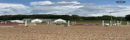  stallplats finnes: Stallplatser - Annons 3