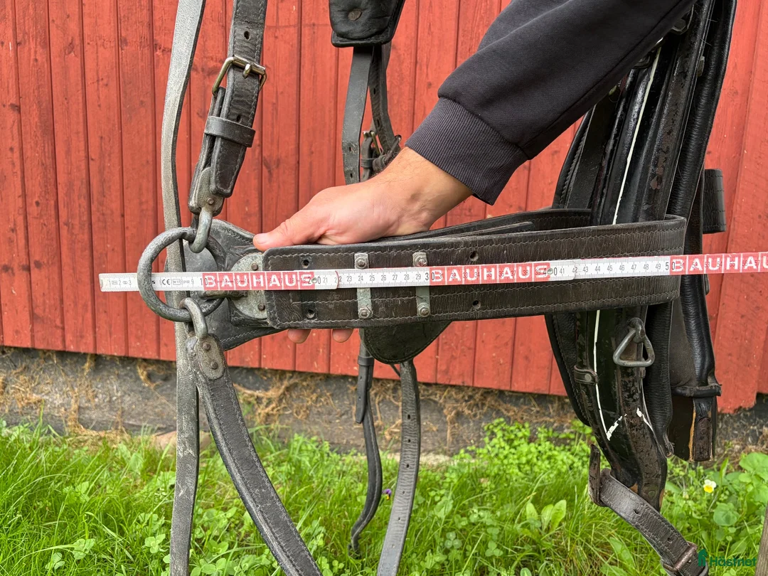 Körselar körning till salu: Lok-sele - Annons 9