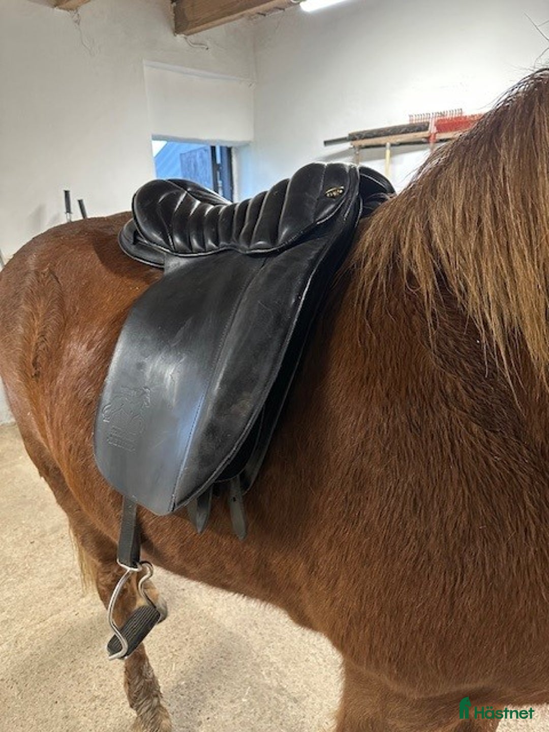 Sadlar hästutrustning till salu: Islands sadlar, unghäst sadlar 17,5 tum o 18 tum i Kattarp - Annons 3