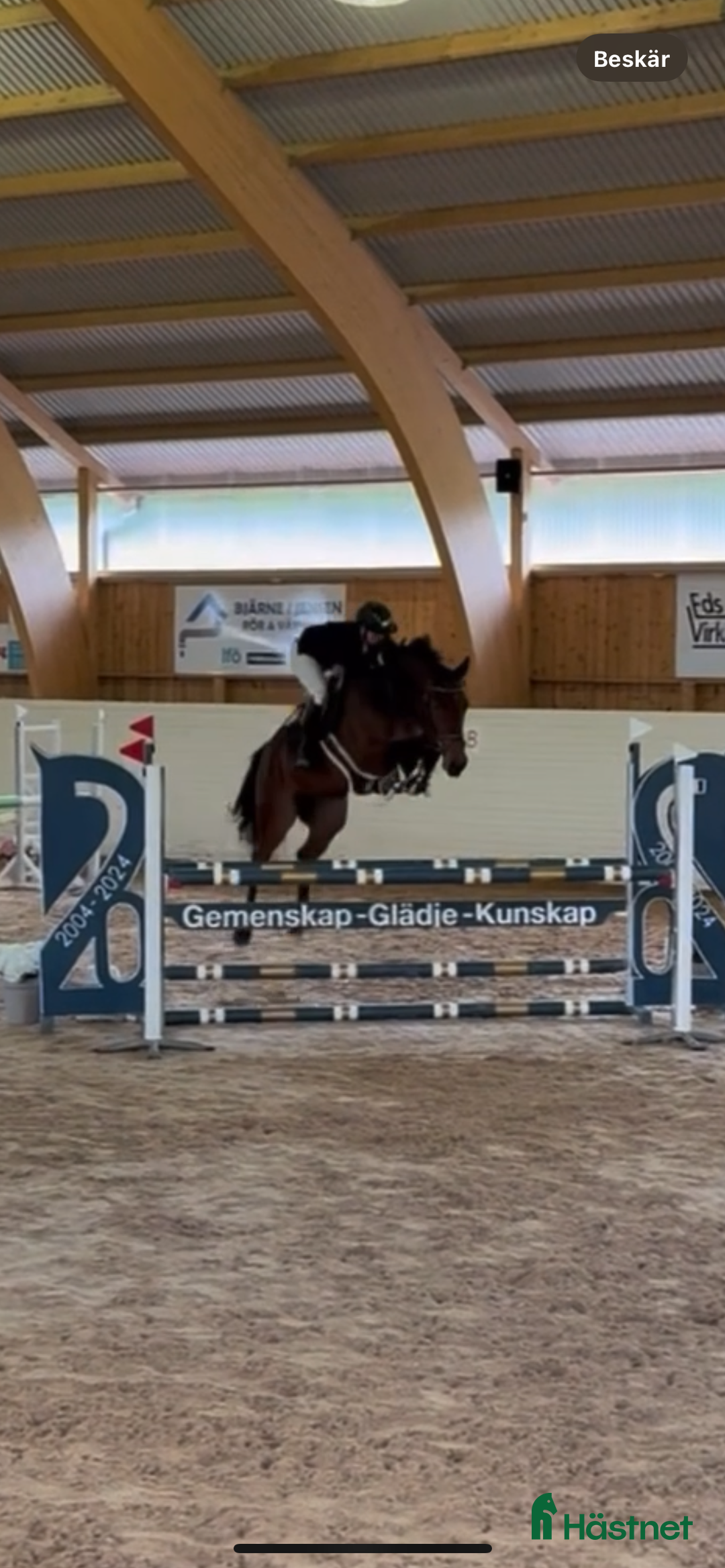 Hoppning hästar till salu: Snäll & välhoppande häst i Hedekas - Annons 2