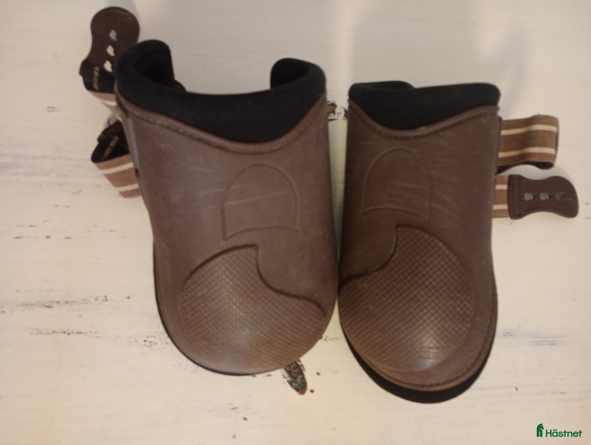 Benskydd hästutrustning Bakbenskydd  - Annons 1