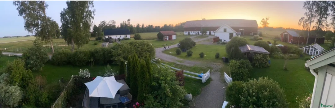 Allround hästar sökes: Ponny/häst pensions hem/skogsmulle  ♥️ - Annons 1