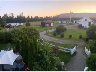 hästar Ponny/häst pensions hem/skogsmulle ♥️ - Annons 6