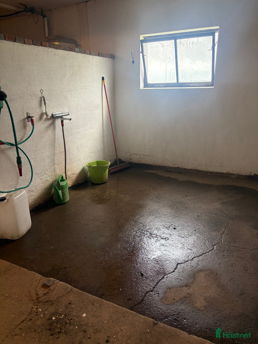  stallplats finnes: Stallplats finns för ett sto från 1 december  i Vikingstad - Annons 4