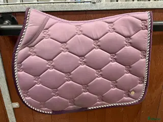 Schabrak & Vojlockar hästutrustning till salu: Ps of sweden schabrak hopp i full i Gävle - Annons 1