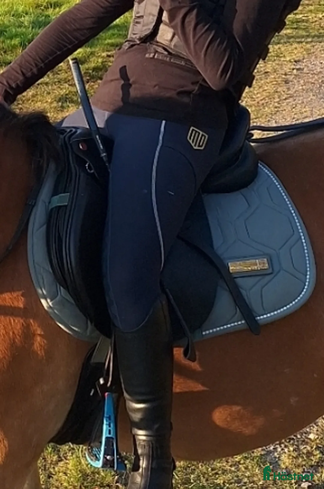 Schabrak & Vojlockar hästutrustning till salu: Schabrak i fint skick! i Sturkö - Annons 3