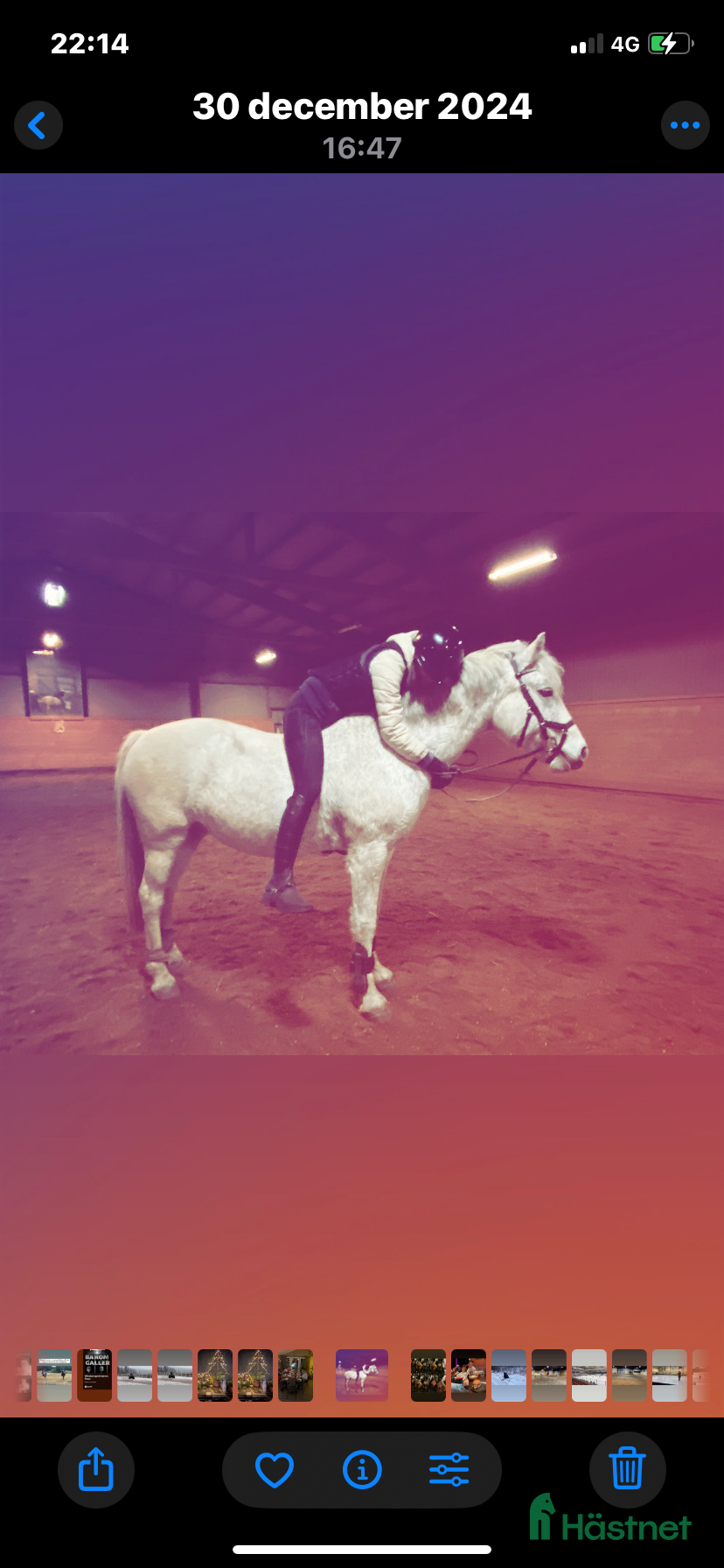  hästar Fina Miss Li - Annons 3