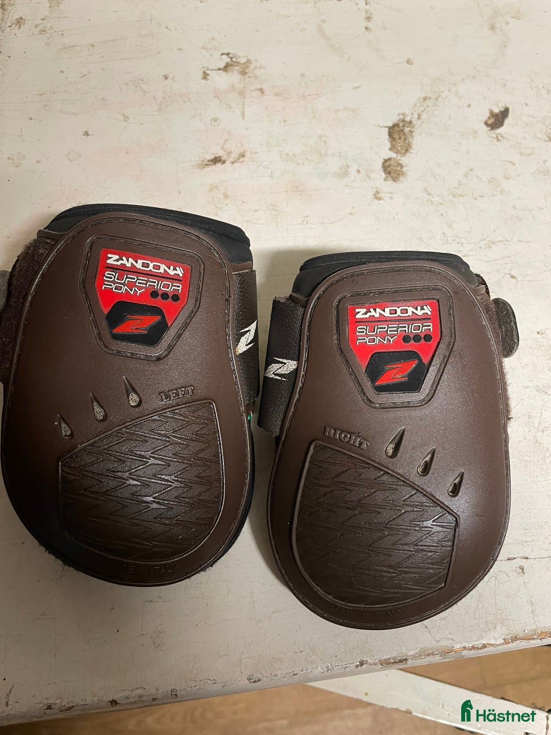 Benskydd hästutrustning till salu: Zandona benskydd  i Rolfstorp - Annons 3