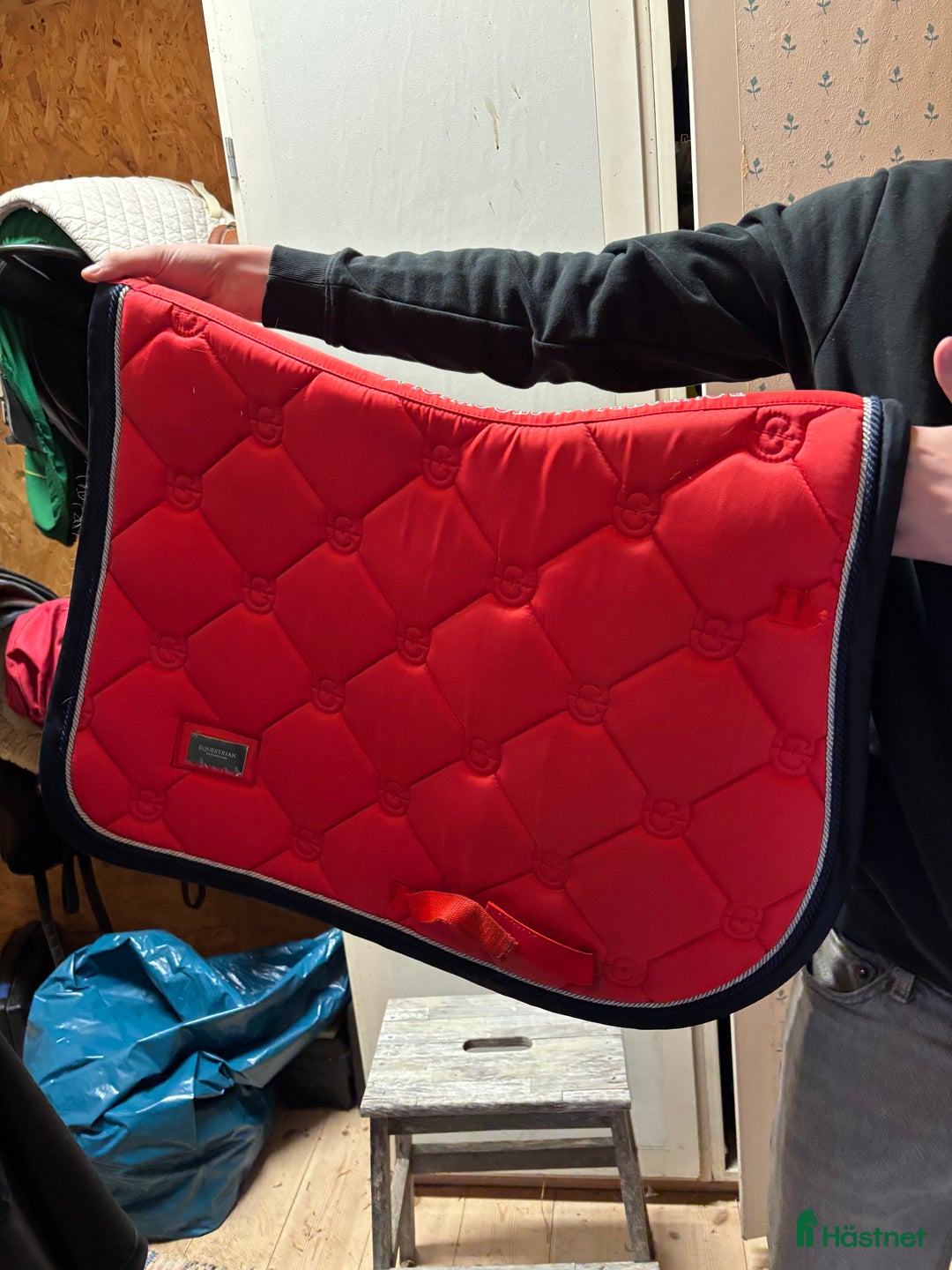 Schabrak & Vojlockar hästutrustning till salu: equestrian stockholm Schabrak  i Enköping - Annons 2