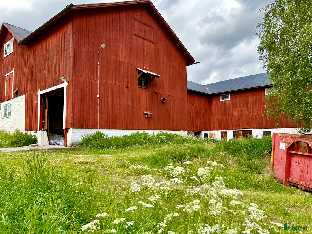  hästgårdar till salu: Perfekt för verksamhet / inackordering - Annons 10