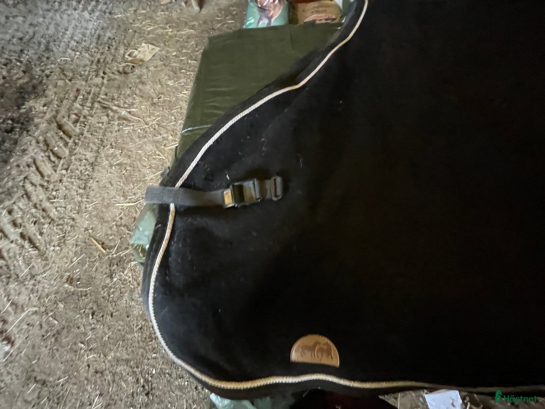 Täcken hästutrustning till salu: Svart Mias RS ländtäcke  i Flyinge - Annons 2