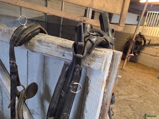 Körselar körning till salu: 2 lokselar i Eskilstuna - Annons 2