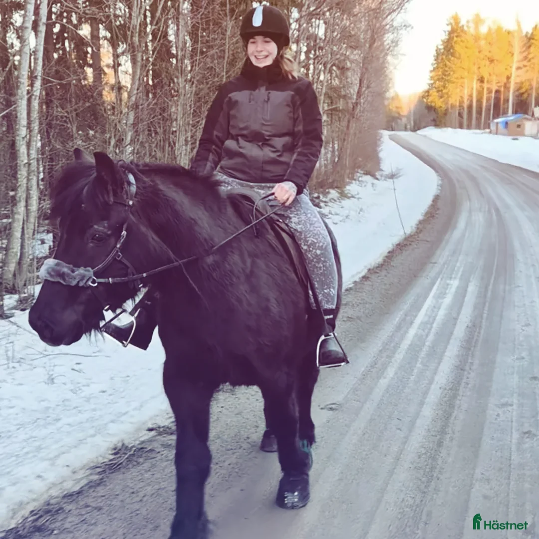 Galleribild {{count}}