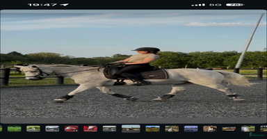  hästar Läromästare söker ny ryttare i Sätila - Annons 3