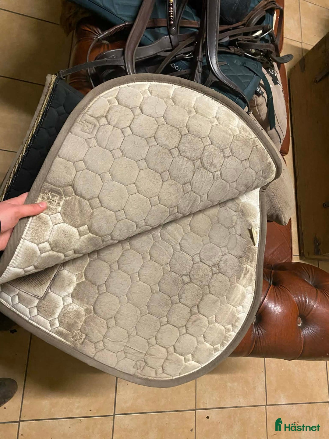 Schabrak & Vojlockar hästutrustning till salu: E-loggeschabrak och tillhörande huva i Växjö - Annons 3