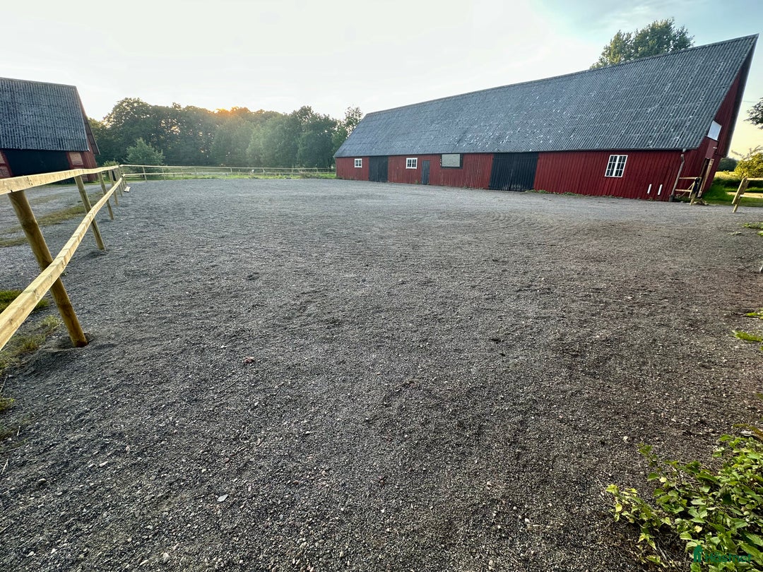  hästgårdar uthyres: Boxar/del av stall, 14 boxar i nordvästra Skåne i Össjö - Annons 1