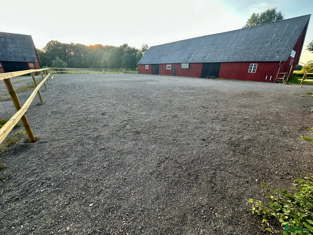  hästgårdar uthyres: Boxar/del av stall, 14 boxar i nordvästra Skåne i Össjö - Annons 1