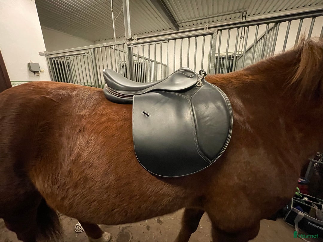 Sadlar hästutrustning till salu: Smart By Lippo Hoppsadel i Kalmar - Annons 7